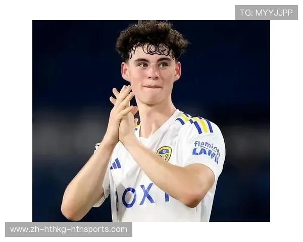 英超降级球队转战英冠后的表现及复苏之路